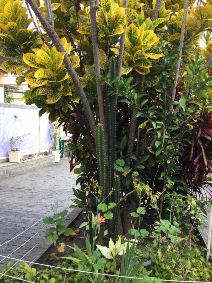 Casa Aconchegante Em Vila Valqueire Rio de Janeiro Eksteriør billede